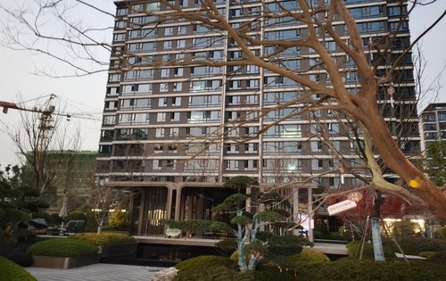新华星耀翰林动态:项目示范区绿化景观实景，楼栋外观实景展示-合肥安居客