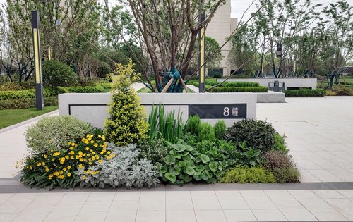 小区的绿植品种繁多每个季节都有相应的植物开花