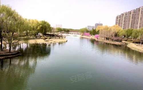 恒实·公园府动态:一路之隔中央公园的美景,站在1号楼远眺许昌地标