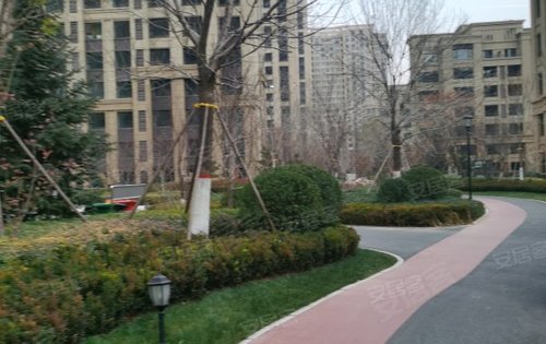 孔雀城开发区荷园园区公共会客厅绿化环境实景拍摄       小高层均价