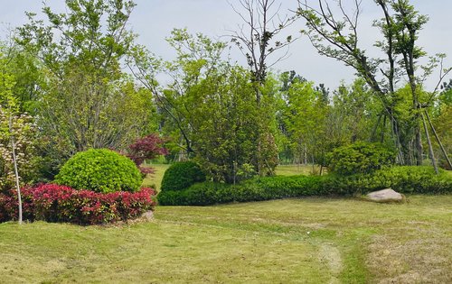 十七里河滨河公园绿化景观带