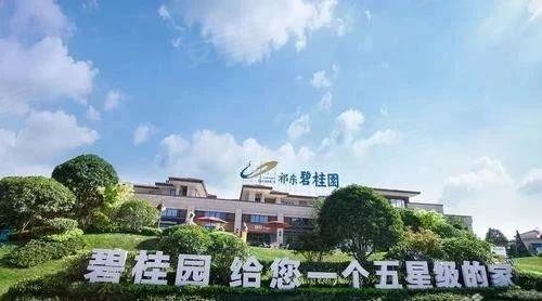 沈丘碧桂园二期地块成功拿取