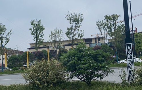 隆回碧桂园翘楚棠