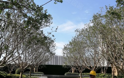 保利公园上城动态:小区实景园林展示小区实景园林展示中-济南安居客