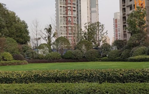 新力雅园动态:新力雅园小区园林-武汉安居客