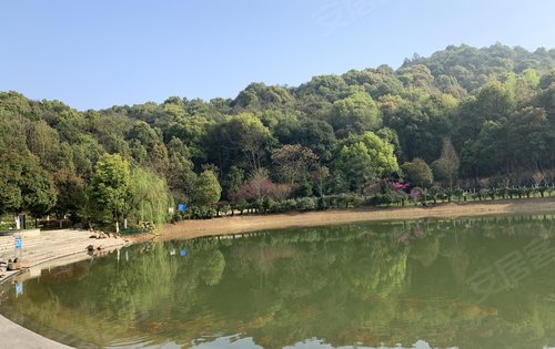 保利堂悦动态:美丽的秀峰山公园,就在脚下-长沙安居客