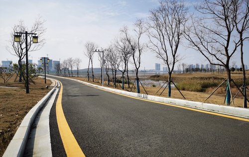 融创城对面黄家湖绿道中小学实景图