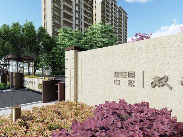 碧桂园中梁双玺