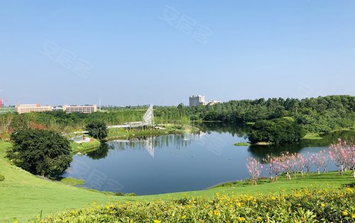 江津蓝光鹭湖长岛图片