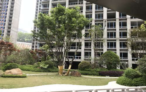 温州楼盘 永嘉县楼盘 永嘉县楼盘 国鸿大发清水湾 楼盘动态李芒新