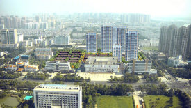中南江山府