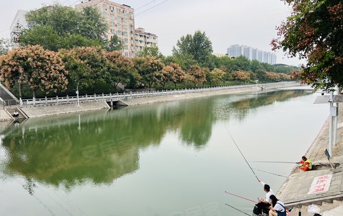 項目旁邊的東風渠好美,閒暇之餘可以來散散步,釣釣魚