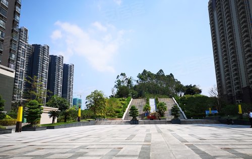 实地惠州常春藤