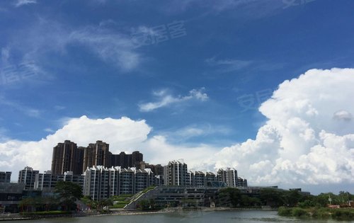 亚运城这个莲花湾中心湖有点好看.