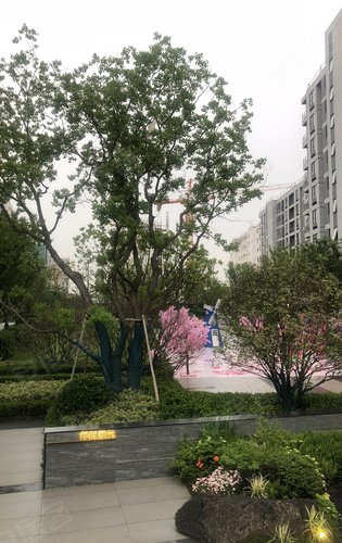 上湾璟园动态:万科上湾璟园这样的景观绿化你可还满意?-昆山安居客