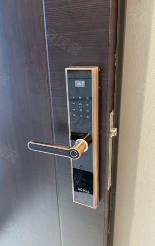 武汉碧桂园江城纪动态:门口重力挂钩,指纹密码锁,可视对讲,细节彰显