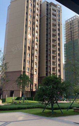 霸王花·东城国际