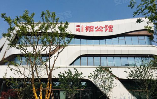 武汉中建铂公馆图片