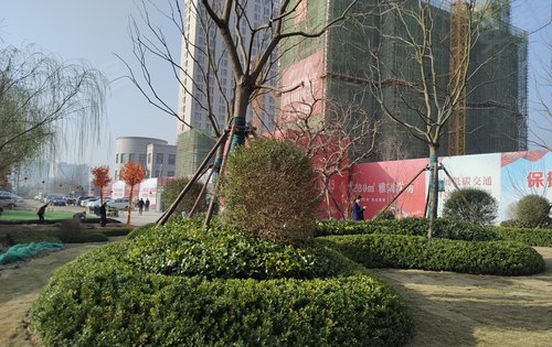 梧樾原著动态:小区绿化率高,户型南北通透全天采光好-菏泽安居客