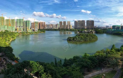 龙光玖龙台动态:1500亩的绿岛湖,上万多个白鹭,自然环境住起来真舒服