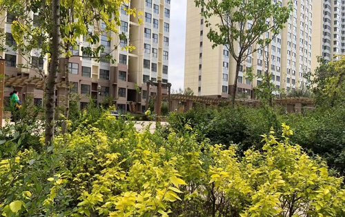 住建·银海湾动态:小区绿化,自带2600平米双语幼儿园.-包头安居客