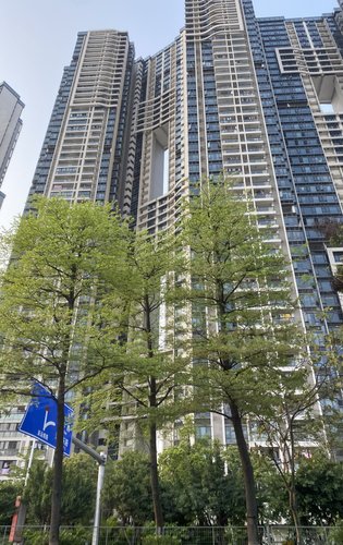 万丈高楼平地起之亚运城·天荟外立面实拍.