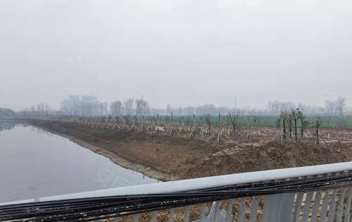 周口正商金域世家动态:项目周围的运粮河,是政府规划的千亩绿化带