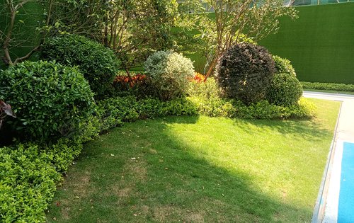 龙湖天宸原著花园动态:小区的绿化环境-惠州安居客