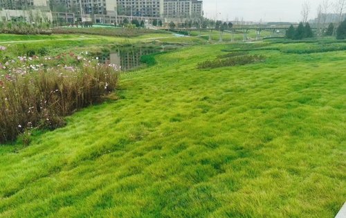 在建中的韩仓河公园景观带