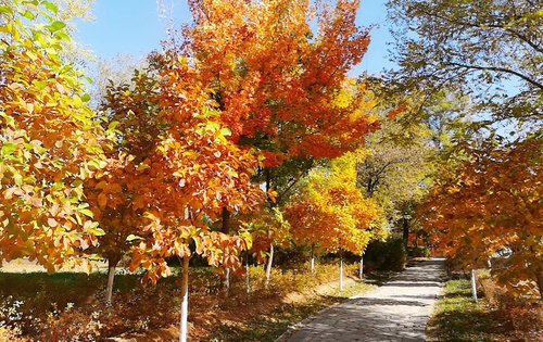 浅山香邑70年大产权现房公园里的家