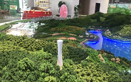 祥源森林之光沙盘图首开1289