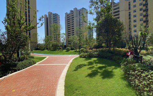 姑苏金茂悦动态:新鲜出炉的实景绿化图哦-苏州安居客