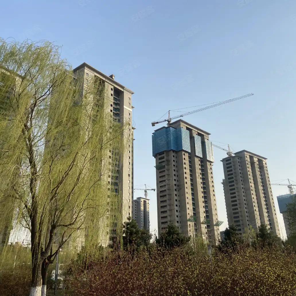 沈阳沈抚中南·熙悦楼盘开盘交房信息_销控信息_新闻活动信息-沈阳58