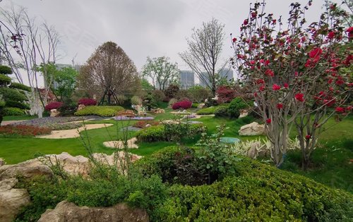 小区唯美的绿化环境就像在公园里一样