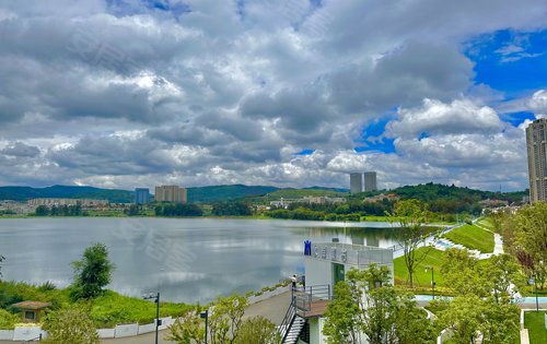 楼盘旁边的白沙湖和南岸公园