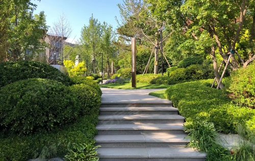 让我们一起在树中找房子龙湖园林景观实景拍摄图