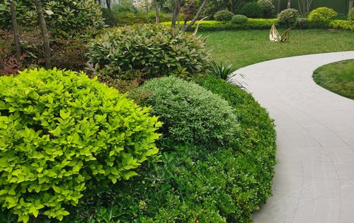 金辉城小区绿化欢迎参观