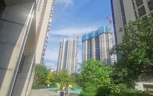 长沙楼盘 望城楼盘 月亮岛楼盘 光明碧桂园培文府 楼盘动态