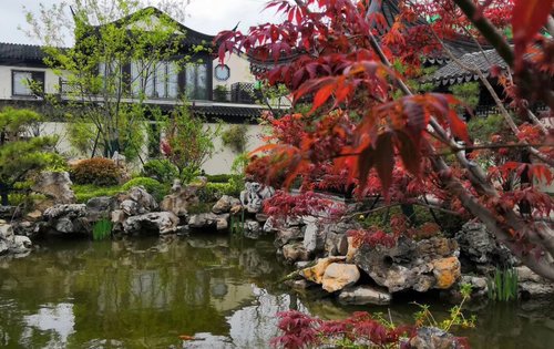 济南杨柳春风动态:江南里实景照片.-济南安居客