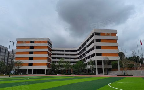 500x315c.jpg