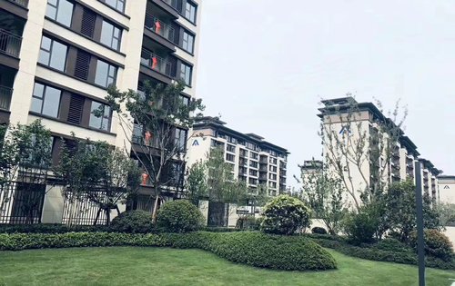 项城建业城动态:雨后的小区还是很美丽