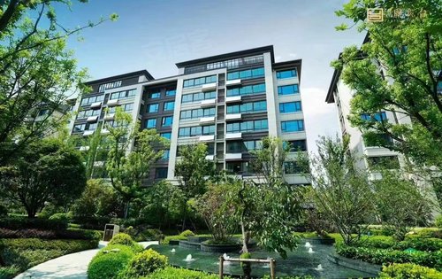 伟星国宾台实景拍摄