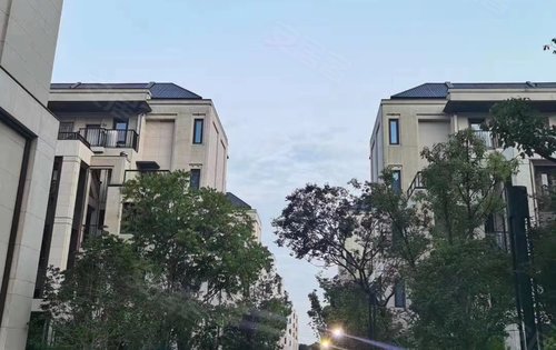 离离暑云散 袅袅凉风起 公元2040二期叠墅金地,融创,招商三大开发商