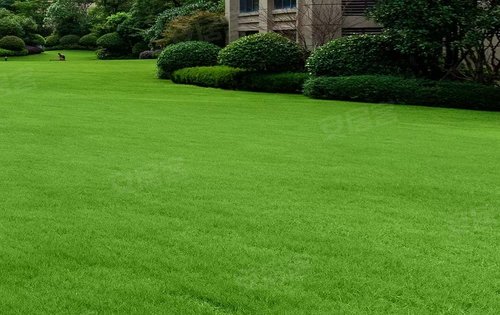 月湖郡未来的园林五重园林高尔夫大草坪看房记得找我哟