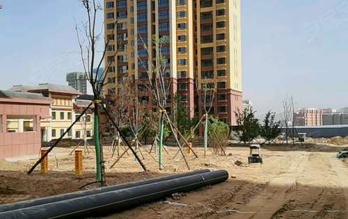 盛世和平居动态:2号楼独栋独单元,后面是健身广场,下面是社区卫生服务