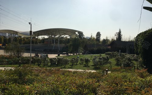 阳光正好微风不燥打卡隆平中央公园