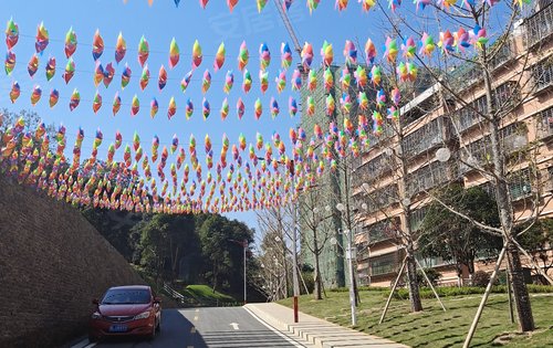 紫宸北郡道路的风景