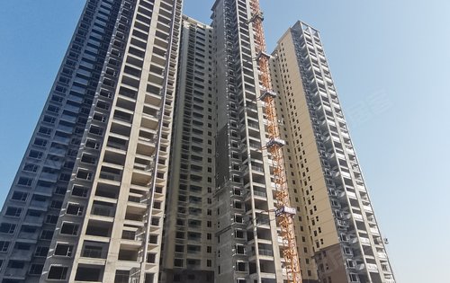 振羽首府动态:8栋,9栋外墙施工进度-邵阳安居客