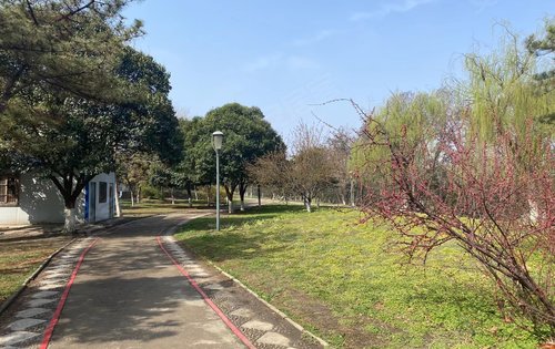 項目北側湛河公園平頂山的母親河環境優美綠樹成蔭安靜愜意是一個休閒