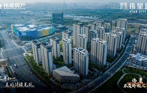 合肥伟星兑现—伟星城